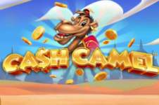 cash-camel